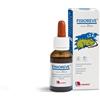 URIACH ITALY Srl Fisioreve Normalizzante ritmo sonno veglia gocce flacone 20 ml
