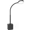 PRINCEWAY Lampada da Lettura Applique da Parete LED Nera, Luce da Comodino LED Dimmerabile con Spina Elettrica per Camera da Letto, 3 Modalità di Colore Illuminazione, 110° Ampio Angolo di Luce