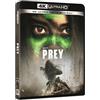20th Century Studios Prey (4K Ultra HD + Blu-Ray Disc)