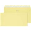 Blake Creative Colour 216 Giallo busta