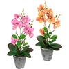 Flair Flower Fiore artificiale farfalla orchidea con foglie e radici aeree in vaso in ceramica fiore artificiale orchidea artificiale Phalaenopsis con vaso pianta artificiale per matrimonio decorazione fiore di