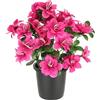 Flair Flower Azalea artificiale in vaso, 29 cm, decorazione da tavolo, azalea