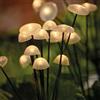 Solar Centre SolarCentre® Woodland - Funghi solari per esterni, 15 funghi (3 set da 5)