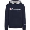 Champion Men's Graphic Powerblend Fleece Hood,