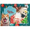 Thempa Dog Biscotti Natale Funny Biscuits 144G