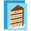 Central 23 Biglietto di auguri sarcastico per invecchiamento, con scritta in lingua inglese Being All Lovely & Old, torta al cioccolato, divertente auguri di compleanno per zia, collega, vicina, moglie, amica
