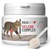 ReaVET Giunto Complex gatto, per 3 mesi, alternativa alle compresse articolari - molto elevata accettazione - speciale agente articolare per gatti, meglio di cozze verdi MSM, artiglio del diavolo,