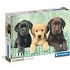 Clementoni - Puzzle 1000 Pezzi per Adulti e Ragazzi, Collection, Tema Tre Labrador, con Poster Incluso, Compact Box, Idea Regalo Uomo e Donna, Made in Italy, 70x50 cm, 39946