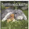 Alpha Edition - Animal Friendships 2026 - Calendario opuscolo 30 x 30 cm (30 x 60 cm aperto) con area note e poster, calendario da parete con dolce... & decorazione per la casa: Animal Friendships