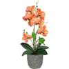 Flair Flower Fiore artificiale farfalla orchidea 38 cm con foglie e radici aeree in vaso in ceramica fiore artificiale Phalaenopsis con vaso artificiale pianta artificiale decorazione matrimonio fiore di seta Real