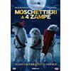 Dynit Minerva Moschettieri A 4 Zampe