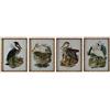 DKD Home Decor Telaio, Standard