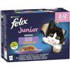 Felix Purina Cibo per gatti Pollo Salmone Manzo 12 x 85 g