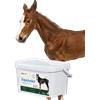 Lab-v EquiJunior - Mangime complementare per puledri, che favorisce la crescita, lo sviluppo e la corretta alimentazione di cavalli e pony giovani 2 kg