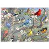 MyPuzzle.com MyPuzzle Uccelli Colorati Sull'albero In Fiore - Premium 500 Pezzi Puzzle - MyPuzzle Collezione speciale di Puzzle Galaxy