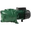 DAB Elettropompa Centrifuga Autoadescante JET 151 Monofase IE2 1,5 HP con Corpo Pompa in Ghisa ,