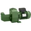 DAB Elettropompa Centrifuga Autoadescante JET 251 Monofase IE2 2,5 HP con Corpo Pompa in Ghisa ,