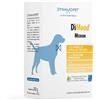 Dynamopet DIMOOD MEDIUM 20 BUSTINE DA 10 G