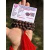 5 Mukhi RUDRAKSHA Black Rudraksh Mala ROSARIO 54+1 Prayer Bead 8mm
