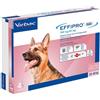 VIRBAC Srl Effipro Duo Cane 4 Pipette - 20 a 40 Kg