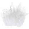 M METERXITY 300-Pack Piume di Gallo Sella Hackle, 3-6 Pollici / 8-15cm Molti Piume Naturali Morbide per Creazioni/Matrimoni/Dream Catcher/Decorazioni Fai da Te [Bianco]