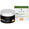 Helan Elisir Antitempo Crema Illuminante Schiarente 50 Ml