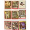 Panini Spider-Man 2 Panini Set Completo 156 Figurine