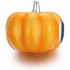 Qings Charm Zucche Argento per Bracciale,Charms Argento Zucche per Regalo di Halloween