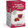 Sandemetrio Tisana Fragola Lampone Sandemetrio 18 Cialde Ese 44 Filtro Carta