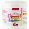 SPAZIO ECOSALUTE Srl Magnesio Polvere Cloruro 500g - Integratore Alimentare e Relax