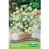 Germisem Matricaria Chamomilla Semi 1 g