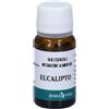 ERBA VITA GROUP SpA Eucalipto Olio Essenziale 100% Naturale, 10ml, Proprietà Rinfrescanti, Antibatteriche e Decongestionanti