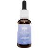 BUSH BIOTHERAPIES Pty Ltd CAREGIVER 30ml