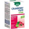 ESI Srl Esi Cranberry Cyst Ft 16pocket