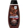 Schwarzkopf Schauma Men Hair Booster Shampoo con Caffeina, confezione da 3, 400 ml