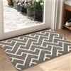 Biscpro Zerbino Interno 50x80cm,Tappeto Lavabile,Tappetino Entrata Asciugapassi Antiscivolo per Interni ed Esterni, Casa e Ufficio, Porta, Corridoio,Ingresso