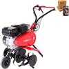 Pubert Terro 55 P C3 - Motozappa 4 Frese - Benzina 209 cc