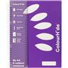 Colourhide Quaderno A4 5 Subject 250pg (Viola)