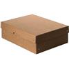 Falken PureBox Nature. Made in Germany. 100 mm di altezza, DIN A4. Scatola portaoggetti con coperchio in robusto cartone vegano, scatola per il trasporto, scatola multiuso