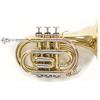 GEWA Roy Benson Bb pocket trumpet PT-302 (con campana larga Ø 125 mm, suono professionale in forma compatta, inclusa custodia rettangolare leggera e set di zaini)