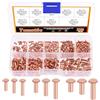 Tanstic Rivetti solidi in rame a testa rotonda, M2x4/6/8, M2.5x5/8/10, M3x4/6/10, rivetti in rame massiccio per applicazioni elettriche, finitura rame tono rame