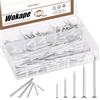 Wokape Kit di 301 chiodi assortiti in acciaio, 20 mm, 30 mm, 40 mm, 50 mm, 60 mm, multicolore zincato, chiodi da parete per appendere quadri, chiodi piccoli, chiodi in legno (bianco)