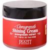 JIGOTT Crema 70 ml (JIGOTT POMEGRANATE SHINING CREAM 70 ml)