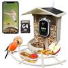 Origem Mangiatoia Per Uccelli Paglia di Grano con Telecamera e 64GB SD, Video 2K HD AI Identifica, 1.7L IP66 5200mAh Energia Solare Esterno Casetta Anti-scoiattolo per Cortile Fattoria Giardino Bosco