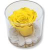 Premium-rose.com Box tondo con Rosa gialla Stabilizzata e Marmo di Carrara Idea regalo per lei, amica, Regalo Mamma, Natale, Cubo rosa gialla, Fatta in Italia (gialla 1094)