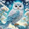 ZephyrHome Kit Diamond Painting 5D con Gufetto, Pittura Diamante Fai da Te, Disegni con Diamantini Colorati, Decorazione Murale per Casa e Pareti, Hobby Creativo per Adulti e Bambini, Regalo Creativa (30x30 cm)