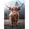 Ulmer Puzzleschmiede - Puzzle con animali altrove - Puzzle da 2000 pezzi - Motivo puzzle del potente bestiame altrove sul salice di mucca da gelidi