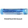 Boiron Pulsatilla Boi 9ch 80gr 4g