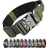 Ledeak Collare Tattico per Cani con Maniglia di Comando, Collare Tattico Regolabile con Fibbia in Metallo, Collari Militare in Nylon per Cani di Taglia Media e Grande Addestramento (Verde, M)