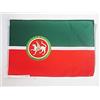 AZ FLAG BANDIERA REPUBBLICA DEL TATARSTAN 45x30cm - BANDIERINA TATARA 30 x 45 cm cordicelle - AZ FLAG
